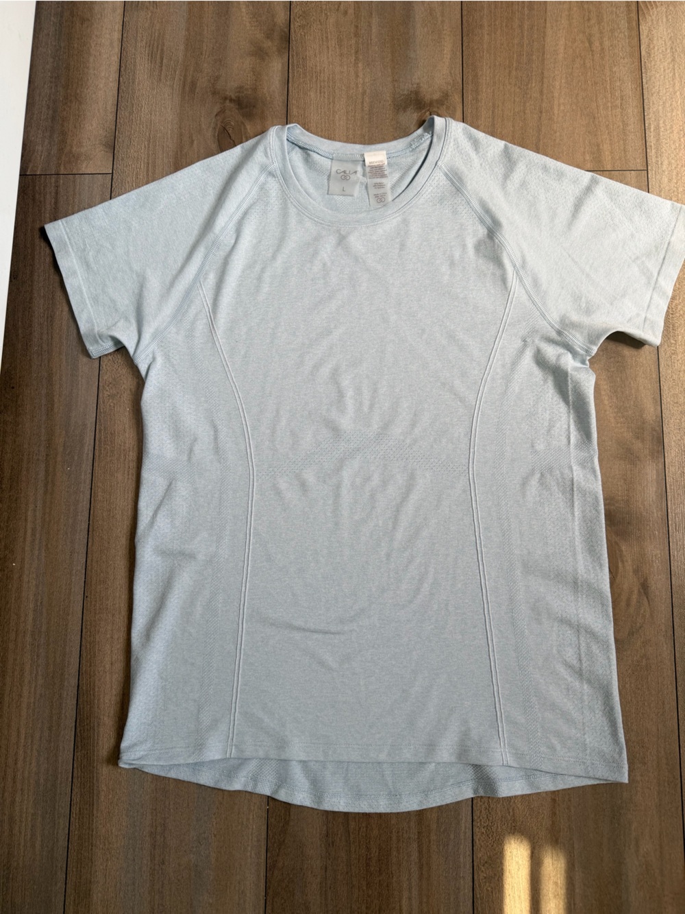 Light Blue Short Sleeve Crewneck Top by Calia